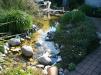 Wasser im Garten: Belebt und erfrischt